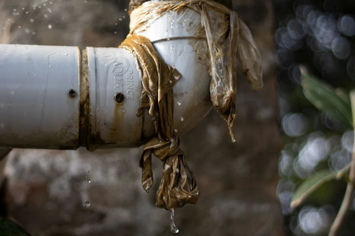 What to Do in the First 24 Hours After Water Damage