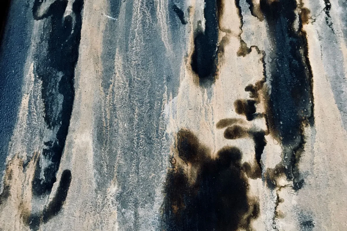 Mold After Water Damage: How Fast It Grows and When to Worry